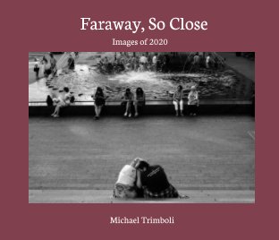 Faraway So Close book cover