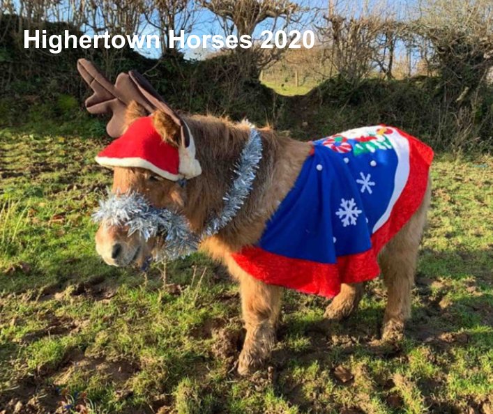 Bekijk Highertown Horses 2020 op Mary Harper