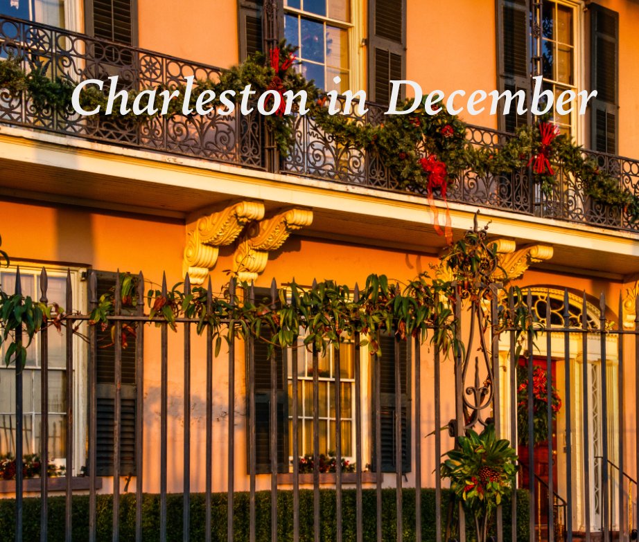 View Charleston in December by Steven Petouvis