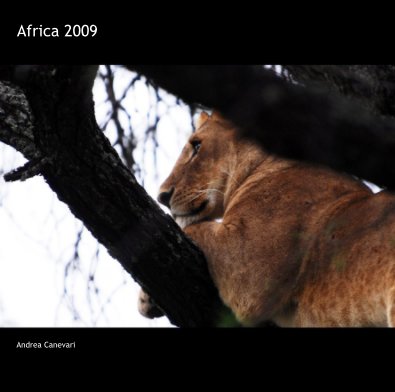 Africa 2009 book cover