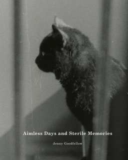 Aimless Days and Sterile Memories book cover