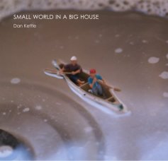 SMALL WORLD IN A BIG HOUSE book cover