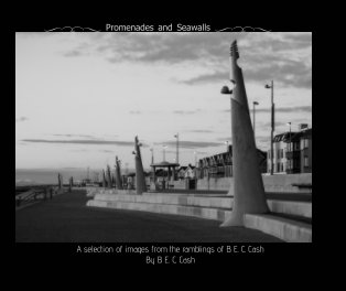 Promenades and Seawalls book cover