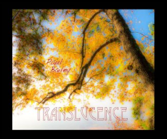 Translucence book cover