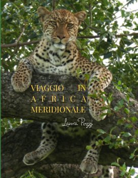 Viaggio in Africa Meridionale book cover