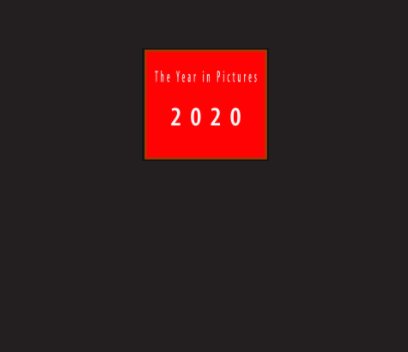 The Year in Pictures 2020 book cover