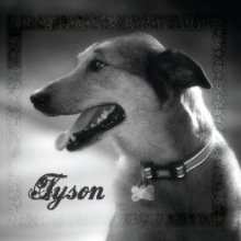 Tyson book cover