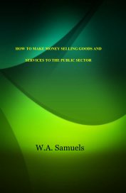 HOW TO MAKE MONEY SELLING GOODS AND SERVICES TO THE PUBLIC SECTOR book cover