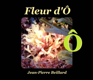 Fleur d'Ô book cover
