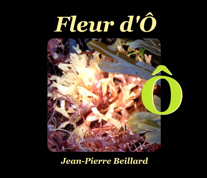 View Fleur d'Ô by Jean-Pierre Beillard