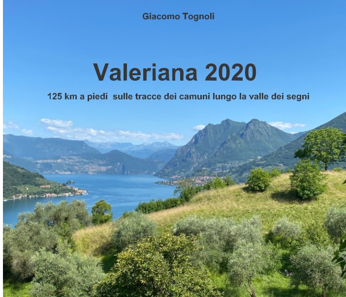 View Via Valeriana by Giacomo Tognoli