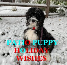 Patio Puppy Holiday Wishes book cover