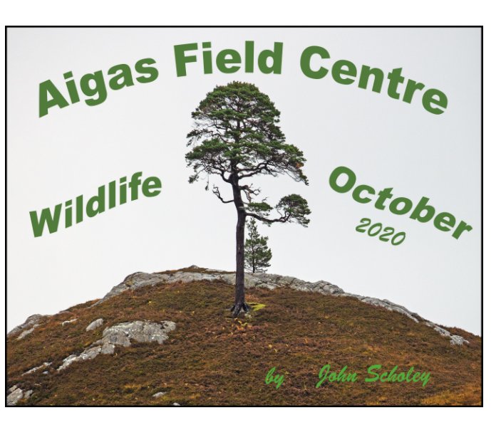 Aigas Wildlife Week October 020 nach John Scholey anzeigen