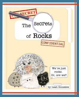 The Secrets of Rocks book cover