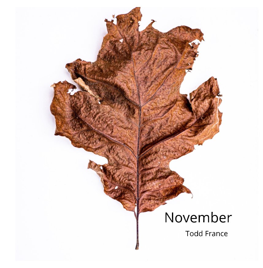 View November by Todd France