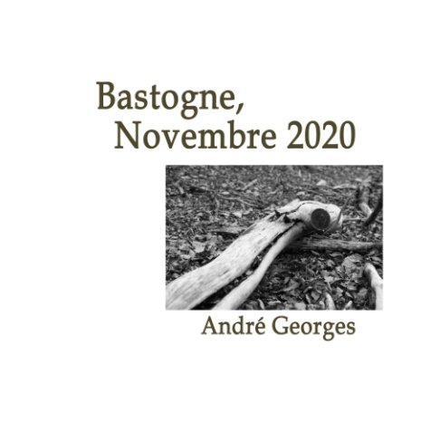 Ver Bastogne, Novembre2020 por André Georges