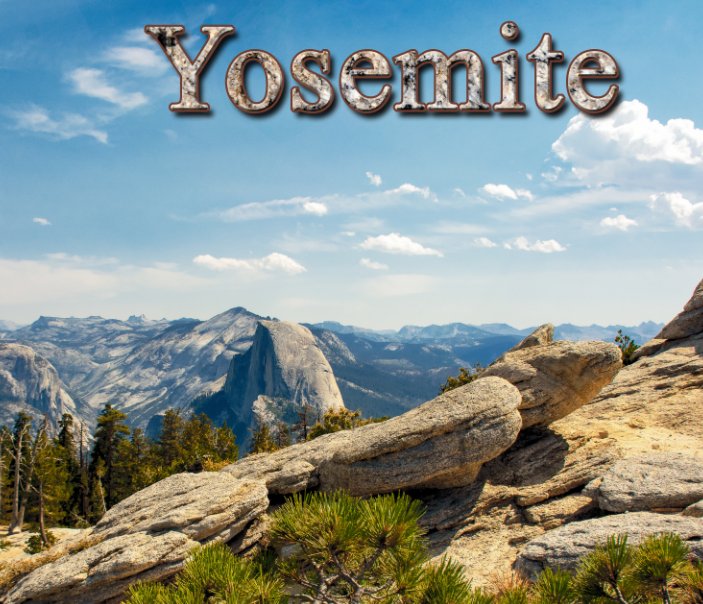 View Yosemite 2020 by Willy Cutler