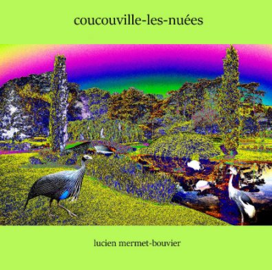 Coucouville-les-nuées book cover