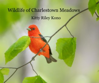 Wildlife of Charlestown Meadows book cover