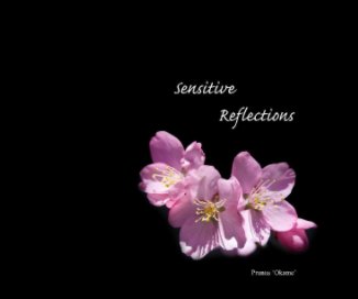 10x8 Sensitive Reflections book cover