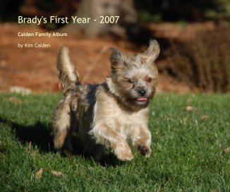 Brady's First Year - 2007 book cover