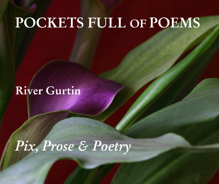 Bekijk Pockets Full of Poems op River Gurtin