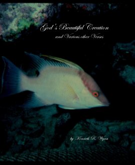 God's Beautiful Creation and Various other Verses by Kenneth R. Wynn book cover