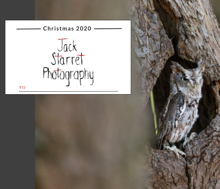 View Jack Starret Photography: 2020 Recap by Jack Starret