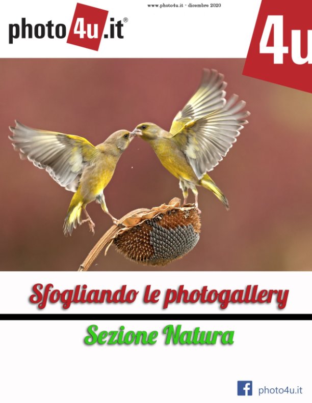 Visualizza photo4u  - Sfogliando le Photogallery, Sezione Natura di Klizio - Redazione photo4u