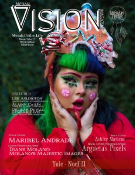 Meraki Vision Magazine December Yule 2020 book cover