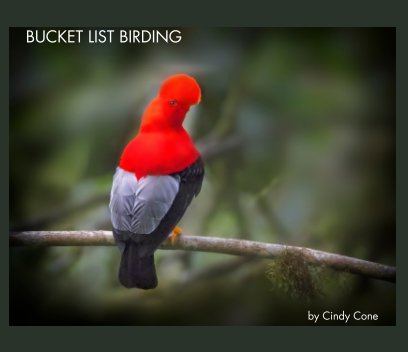 Bucket List Birding book cover