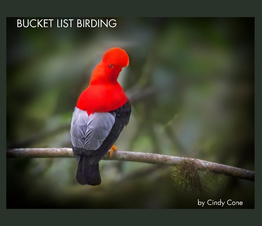 View Bucket List Birding by Cindy Cone