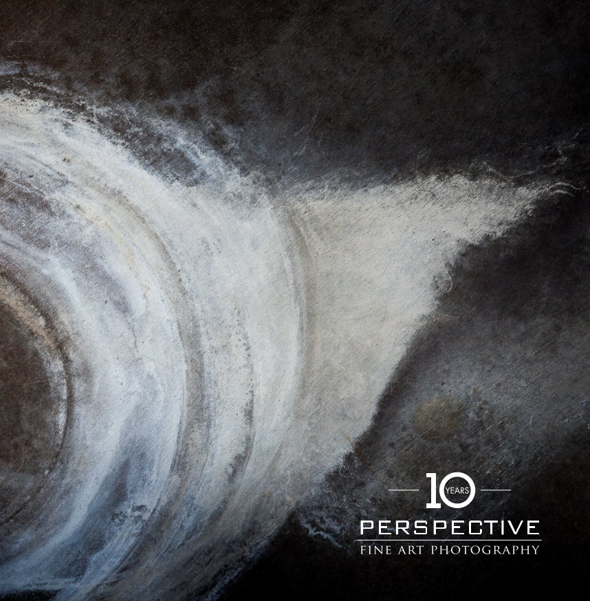 Visualizza 10 Year Anniversary Book di Perspective Gallery