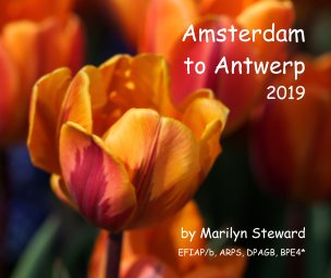 Amsterdam to Antwerp 2019 book cover