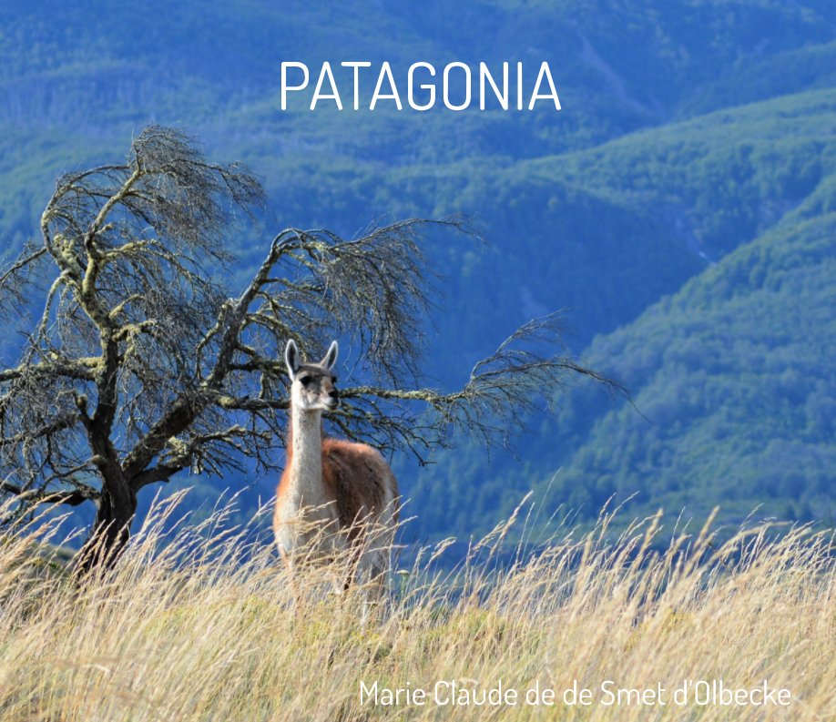View Patagonia by Marie Claude de Smet d'Olbecke