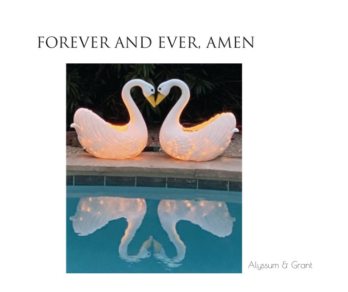 Visualizza Forever and Ever, Amen di Sylvia H. Gallegos