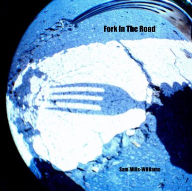 Fork In The Road book cover