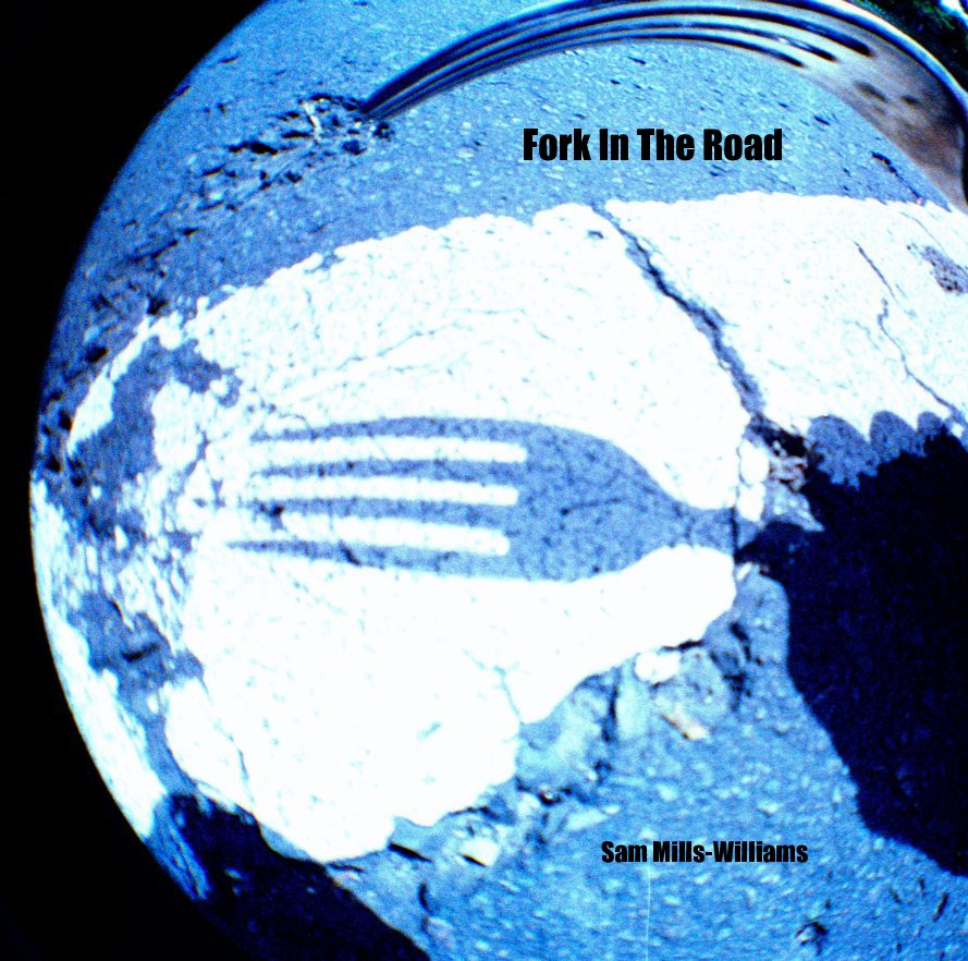 View Fork In The Road by Sam Mills-Williams