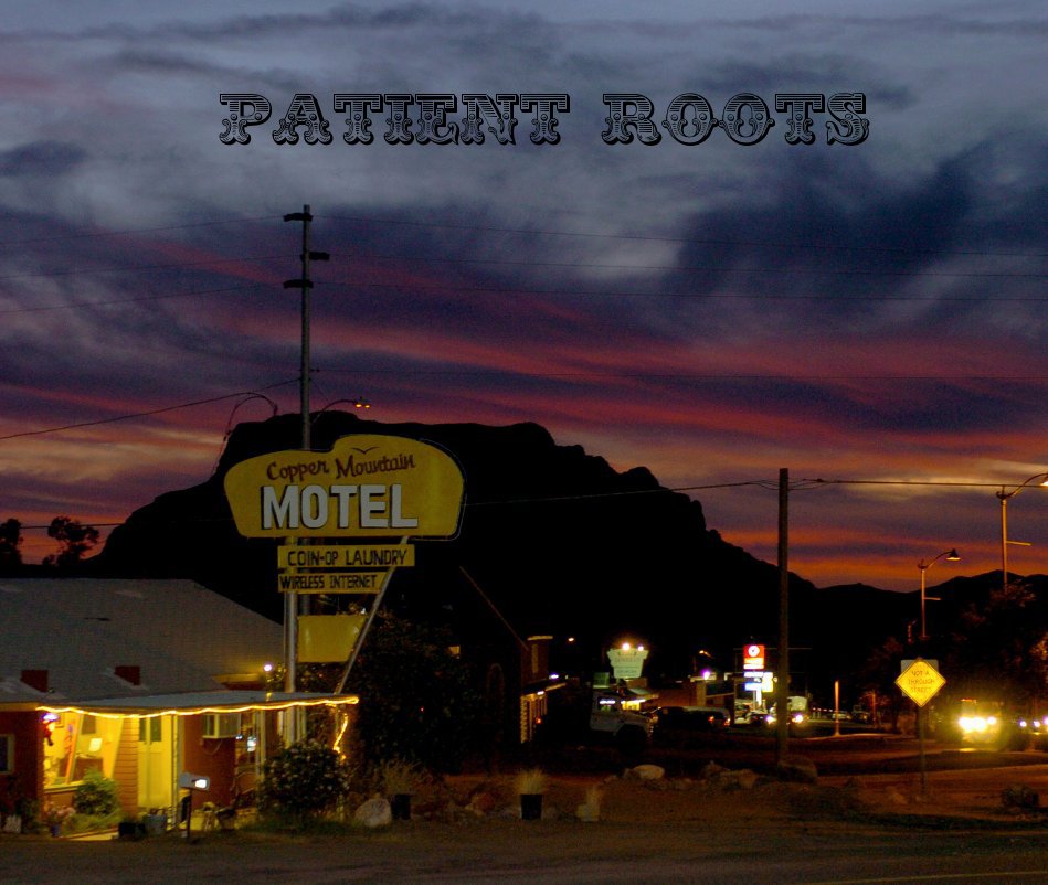 View Patient Roots by Daniel Curtin O'Connor