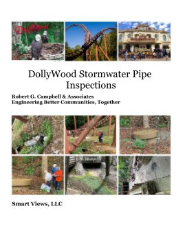 DollyWood Stormwater Pipe Inspections book cover