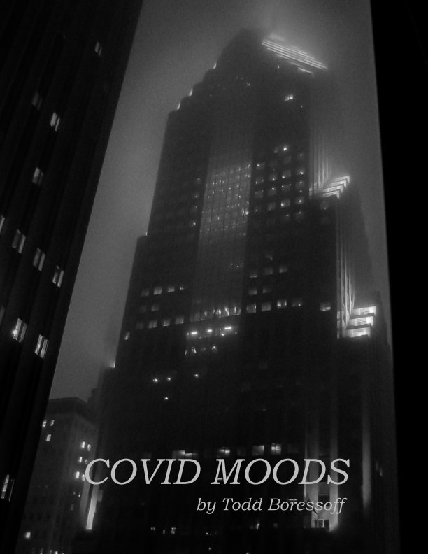View Covid Moods by Todd Boressoff