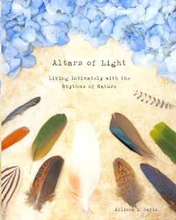 Altars of Light book cover