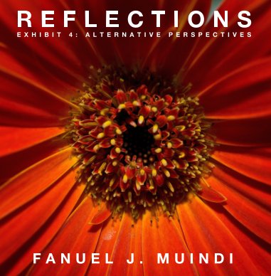 Reflections 4: Alternative Perspectives book cover