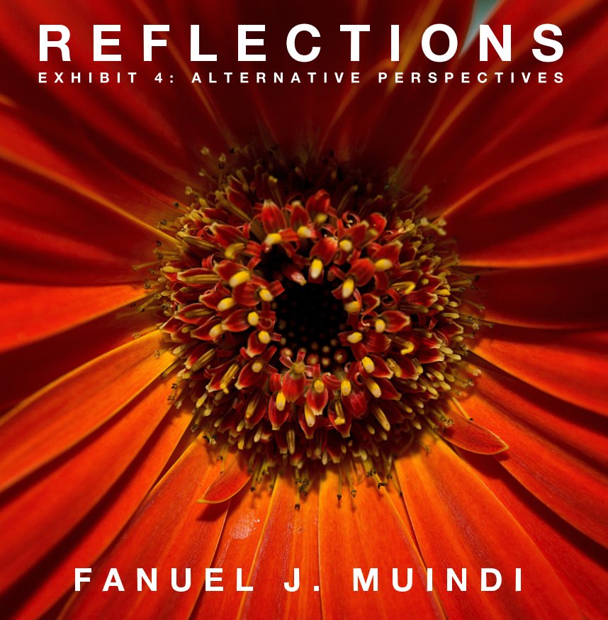 View Reflections 4: Alternative Perspectives by Fanuel Muindi