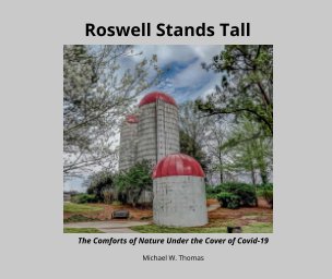 Roswell Stands Tall book cover