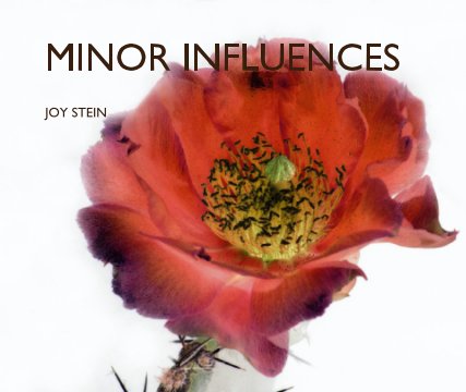 MINOR INFLUENCES book cover