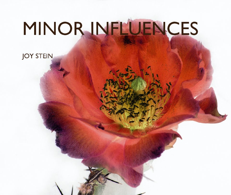 View MINOR INFLUENCES by JOY STEIN