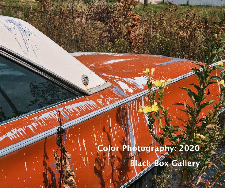 View Color Photography: 2020 by Black Box Gallery