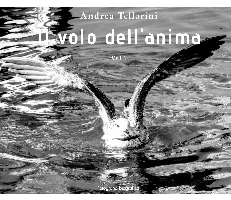 Il volo dell'anima nach Andrea Tellarini anzeigen