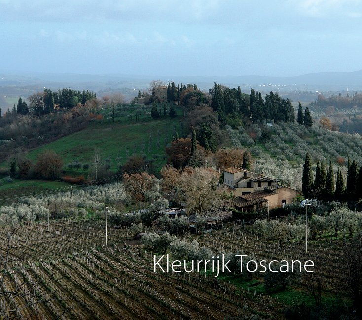 Ver Kleurrijk Toscane por Margreet Borgman
